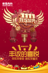 双11
