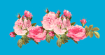 花边