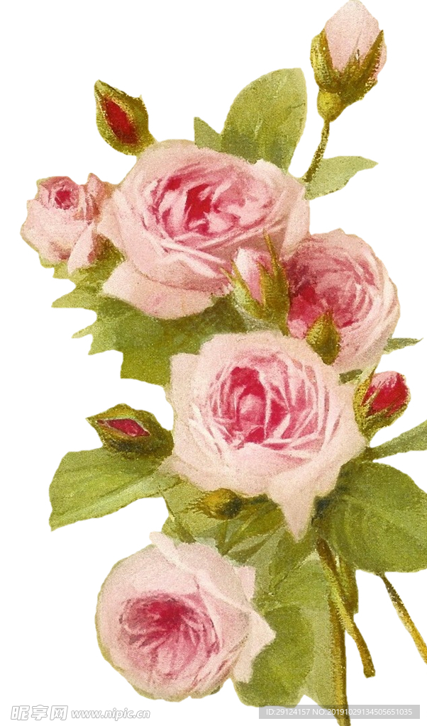 花边