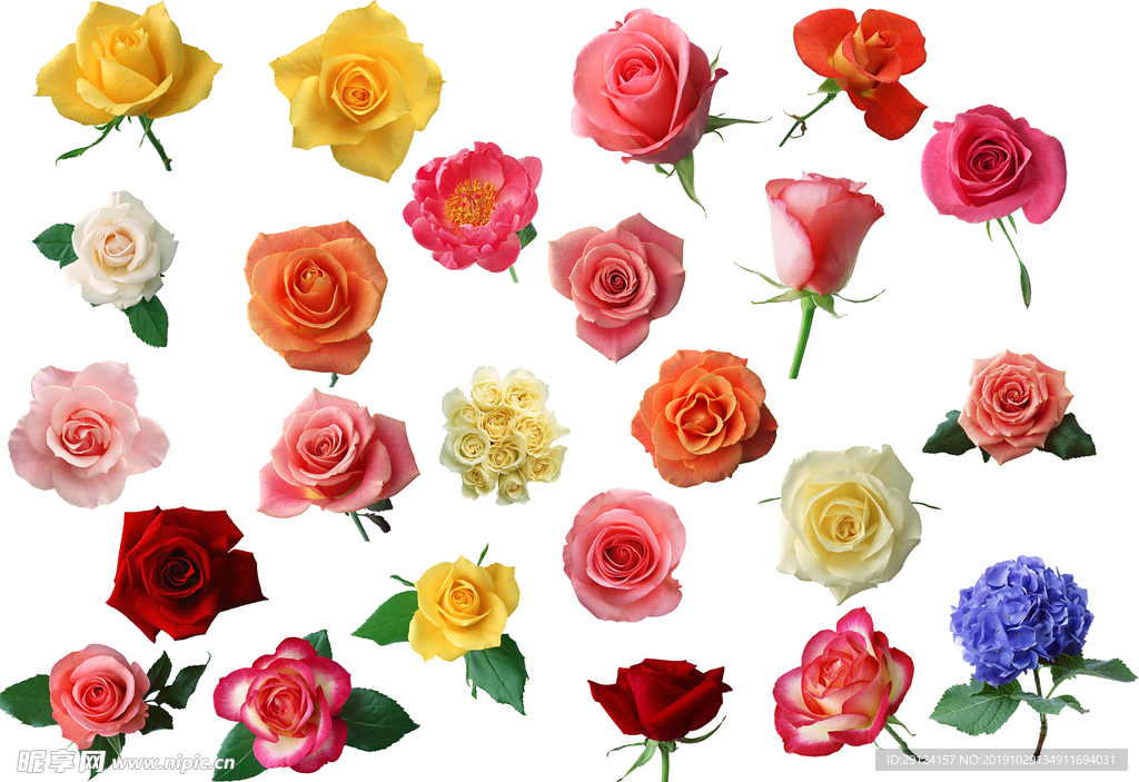 花
