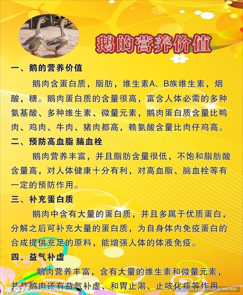 鹅的营养价值