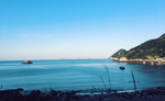 大海
