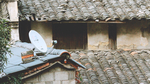 屋顶