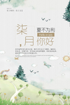 七月你好