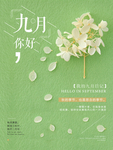 九月你好