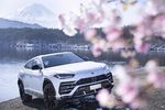 兰博基尼越野车