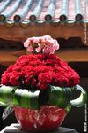 花团锦簇