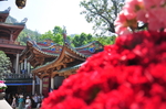 景点