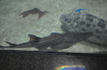 水族馆