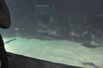 水族馆