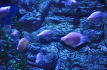 海底世界