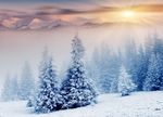 雪景