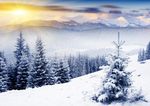 雪景