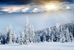 雪景