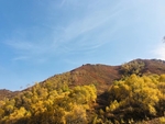 风景