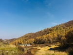 风景