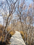 风景