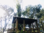 风景