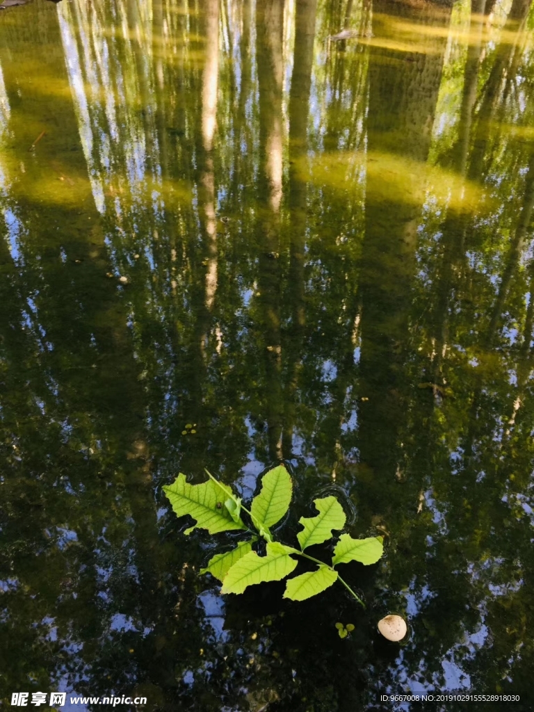 风景