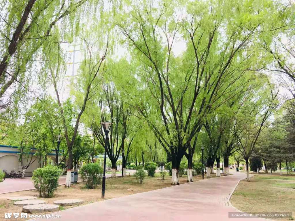 风景