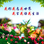 花语