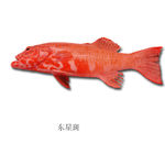 东星斑