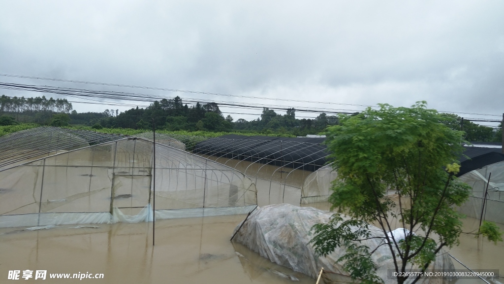 水淹大棚