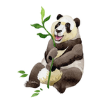 水彩植物花朵绿叶