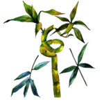 水彩植物花朵绿叶