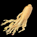 人参