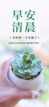 小清新早安