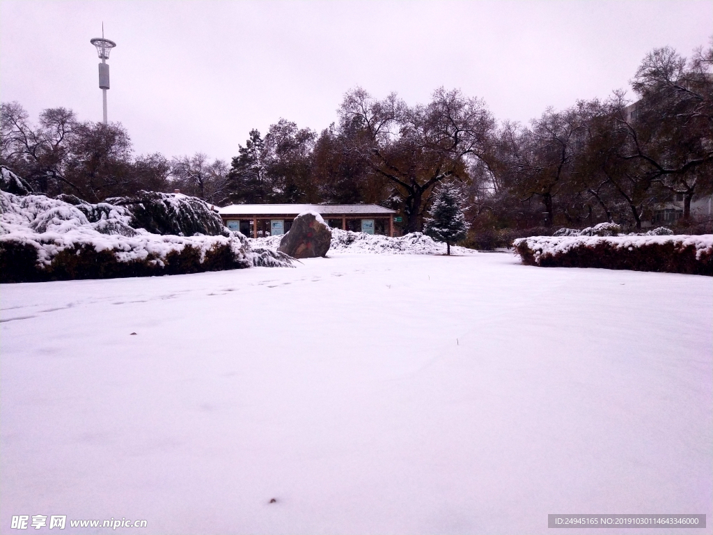 龙沙公园初冬雪景