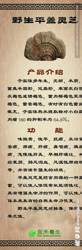 灵芝