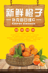 新鲜橙子