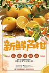 新鲜芦柑