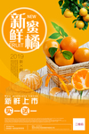 新鲜蜜橘