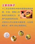 土家活珠子
