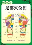 足部穴位图