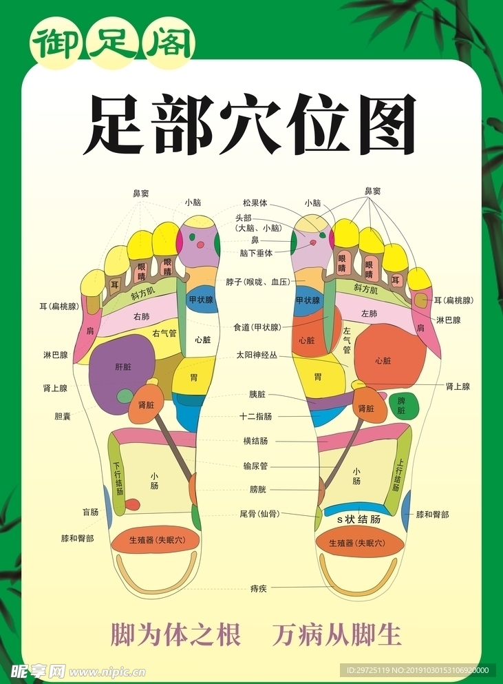 足部穴位图