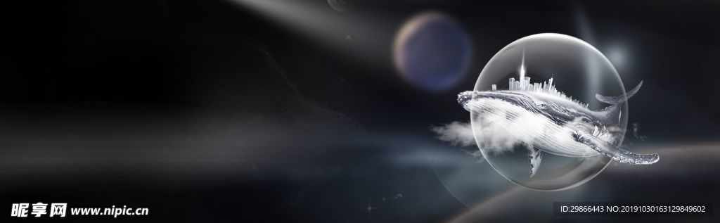 鲸