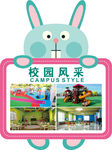 兔子