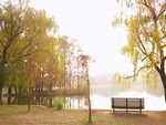 秋季湖边小景秋季公园