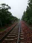 雨后的铁路