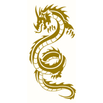 龙
