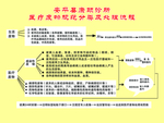 医疗废物规范分类及处理流程