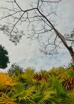 惠州绿道