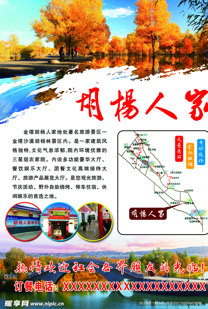 胡杨林 胡杨彩页 宣传彩页