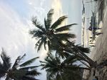 海岛
