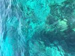 大海