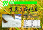 晚粳米